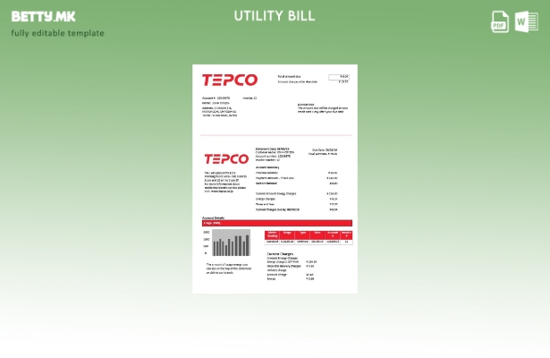 Модерен стил Шаблон за сметки за комунални услуги за електрична енергија на Јапо